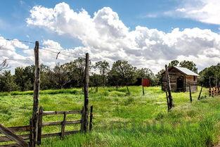 上海青青世界森林公园,上海青青旅游世界十年前