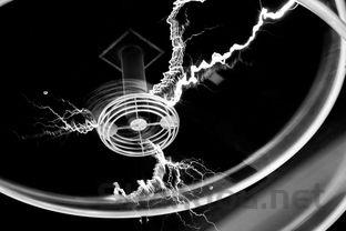 世界逐帧动画排名前十,逐帧动画案例