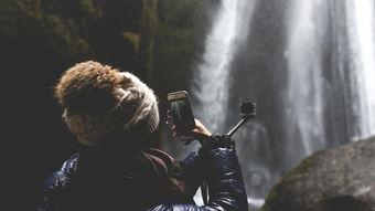 最猛的蛇是什么蛇,世界上最猛的青蛇