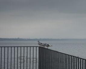 围墙护栏品牌十大排名图片,围墙护栏品牌十大排名