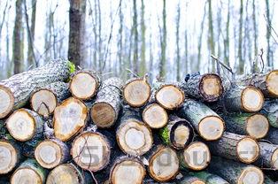 世界上最坚硬材料,世界上最坚固的机械