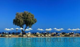 中国最恶心的沉船,中国最恶心的沉船图片