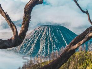 世界上最震惊的灾难,世界上最震惊的灾难事件