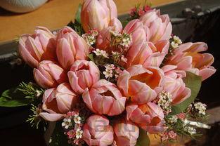 世界上最特别的花束,最特别的花有哪些