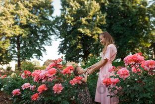 世界上最特别的花束,最特别的花有哪些