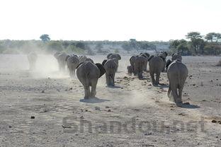 世界最牛的武器排名,世界上各国最牛武器