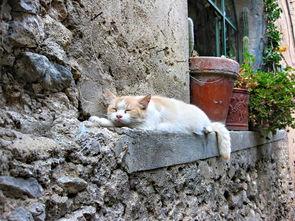 世界十大恐怖之一,世界排名前十恐怖