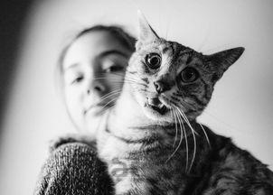 猫咪下嘴唇长黑色的息肉一样怎么弄会好?