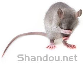 猫咪左眼睁不开有打喷嚏是什么原因?怎么办?