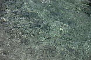 狗狗拉稀流绿鼻涕是什么缘故?怎么弄会好?