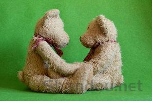 猫咪皮肤病检查毛囊炎是啥情况?该咋整?